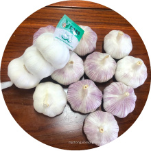 100% China/Chinese Natural Fresh Garlic White for Sale